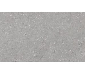 Фото Shellstone Grigio 60x120 n163204 Dado Ceramica