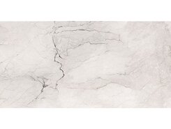 Плитка AE CAM6 278 LPM 120x278 n162912