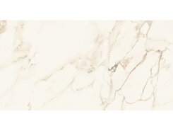 Плитка AE CAP6 12 LP 60x120 n150464