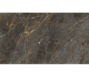 Фото AE GOL6 12 LP 60x120 n150466 La Faenza