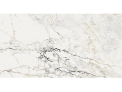 Плитка AE PAO6 12 LP 60x120 n140711