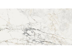 Плитка AE PAO6 12 RM 60x120 n140707