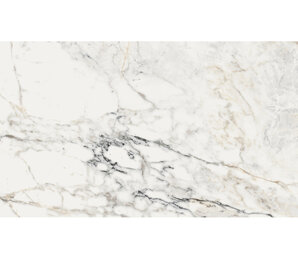 Фото AE PAO6 12 RM 60x120 n140707 La Faenza