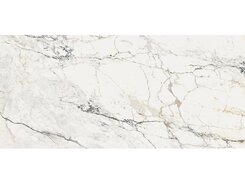 Плитка AE PAO6 278 LP 120x278 n161779