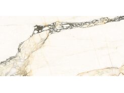 Плитка AE PAZ6 278 LPM ZZ 120x278 n176274