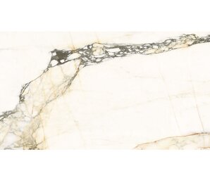 Фото AE PAZ6 278 LPM ZZ 120x278 n176274 La Faenza