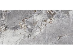 Плитка AE UNI6 278 LP 120x278 n161781