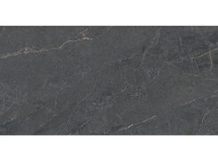 Плитка Anthology 05 Dark Nat 120x278 n171765