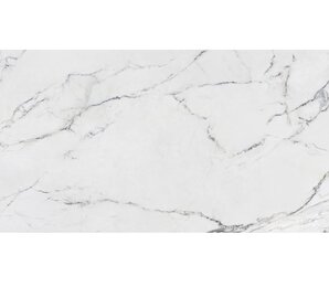 Фото Canova Statuario Lappato 120x280 n139795 Rondine Group