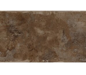 Фото Metal Brown Zinc Prelucidato (Soft) 6 mm 100x300 n058532 ariostea