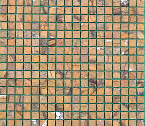 Фото ASS 16 tonomosaic
