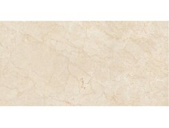 Плитка Bottichino Polished 60x120